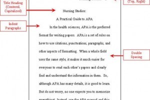 Why Should You Hire An Expert APA Proofreading & Editing Service?